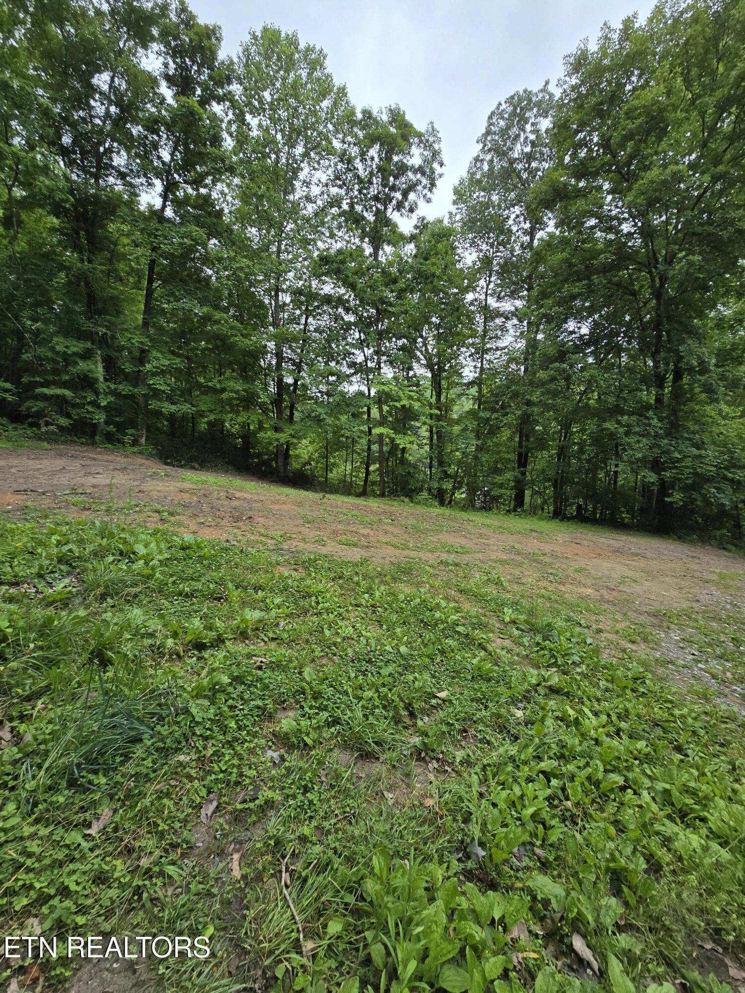 689 Ivey Hollow Road La Follette, TN 37766 - Photo 10 of 12 1000007096