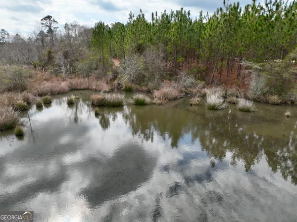 a view of a field with trees in the background