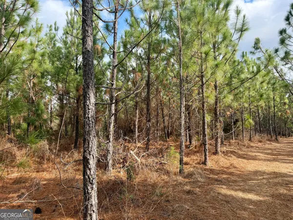a view of outdoor space with trees