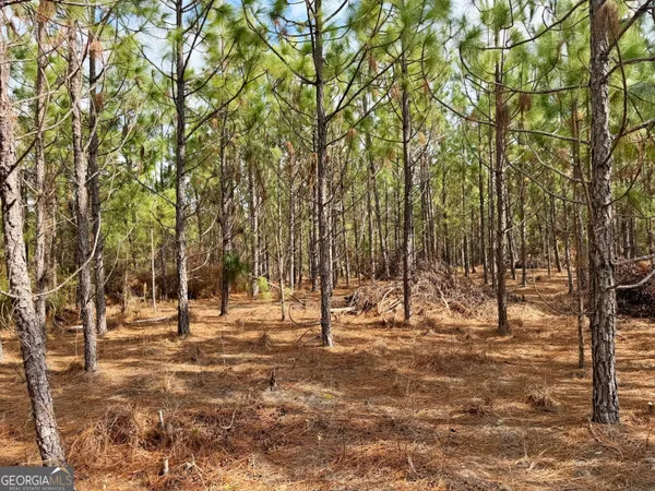 a view of yard with trees