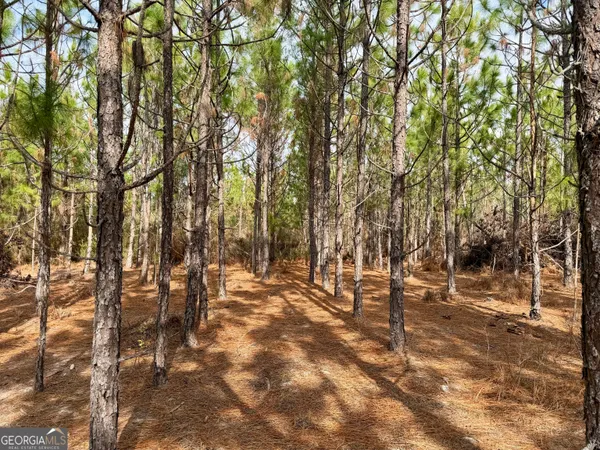 $150,000 | 0 Outlaw Grove Way, Soperton, GA 30457