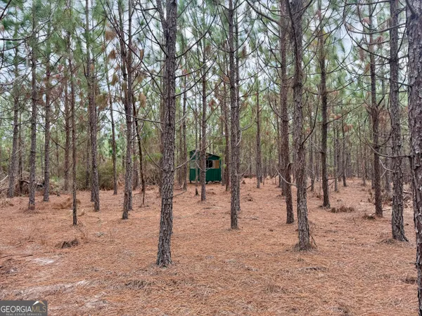 $150,000 | 0 Outlaw Grove Way, Soperton, GA 30457