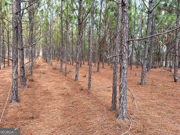 a view of road with trees in the background