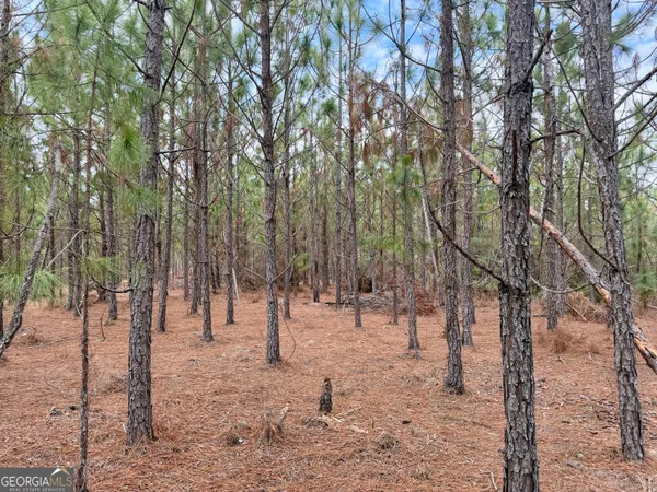 $150,000 | 0 Outlaw Grove Way, Soperton, GA 30457