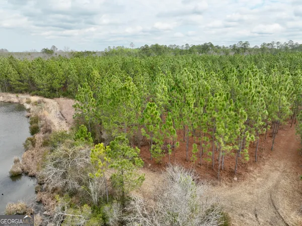 a view of a green field