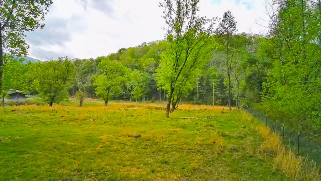 3325 Pack Mountain Road Murphy, NC 28906 - Photo 47 of 69