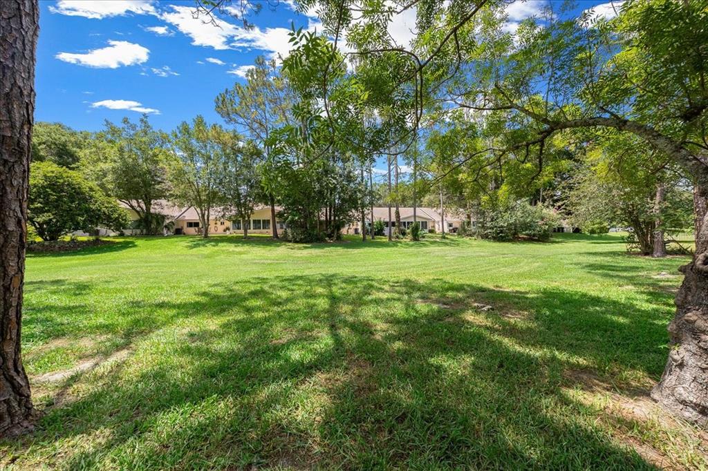 8720 Southwest 90th Street, Unit A Ocala, FL 34481 - Photo 42 of 71 a view of a trees with a big yard
