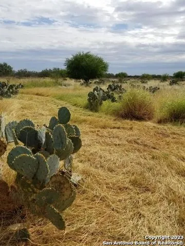 $225,000 | 0 Hwy-85, Dilley, TX 78017