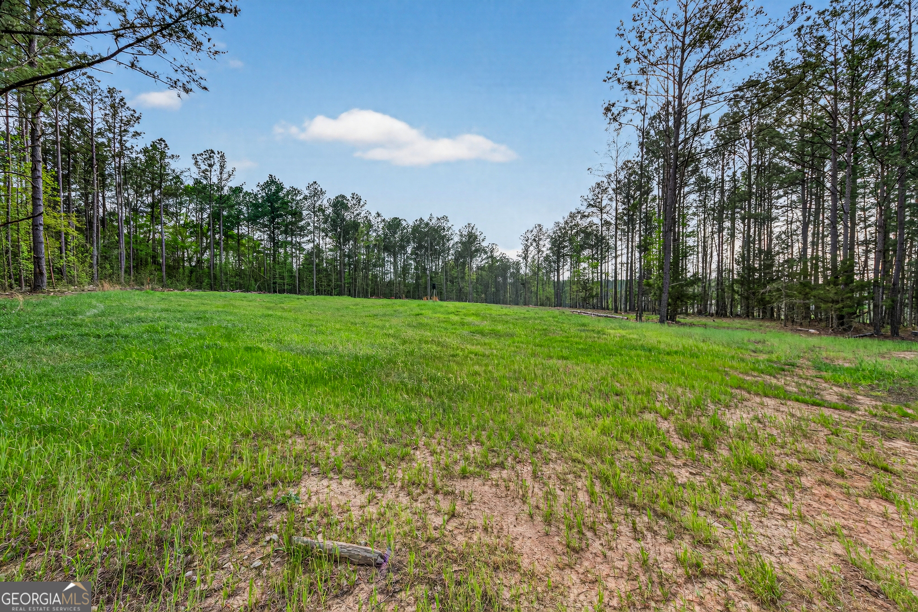 669 Pecan Grove Road Washington, GA 30673 - Photo 42 of 56 Gallery Image 42