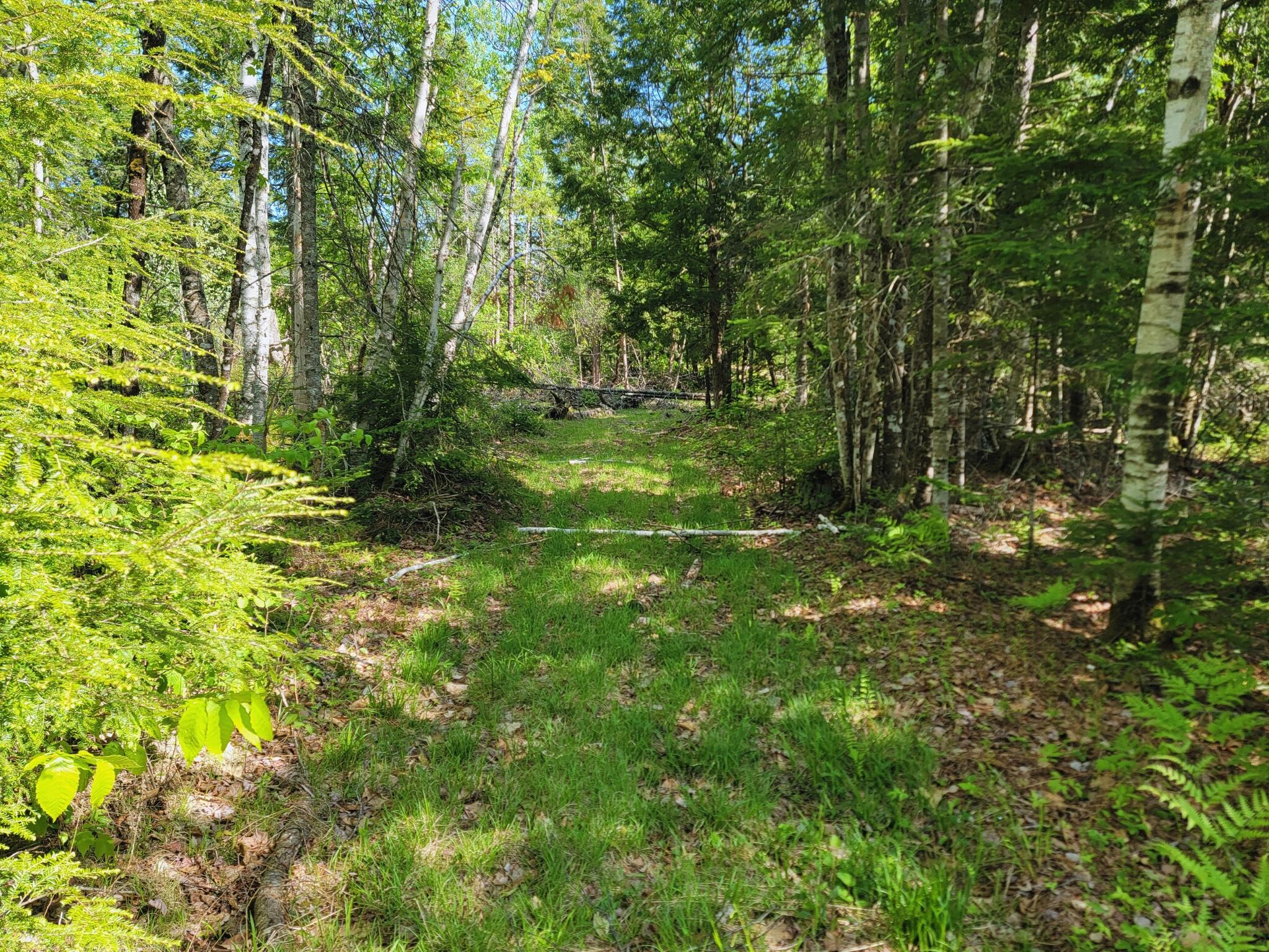 67 Bog Brook Road China, ME 04358 - Photo 4 of 12 Blueland pic 14