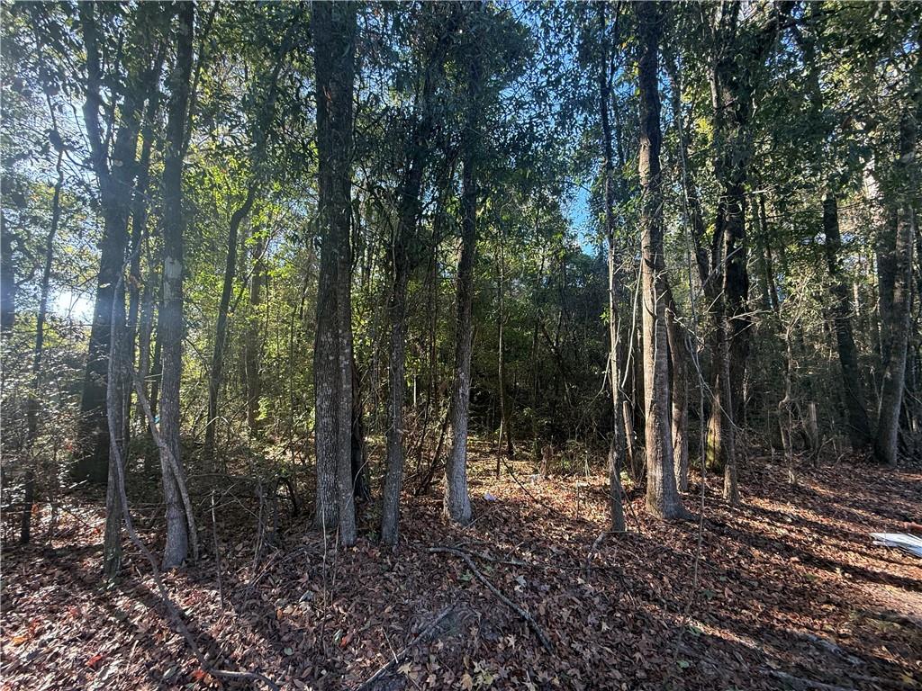 29100 Highway 16 Sun, LA 70427 - Photo 2 of 4
