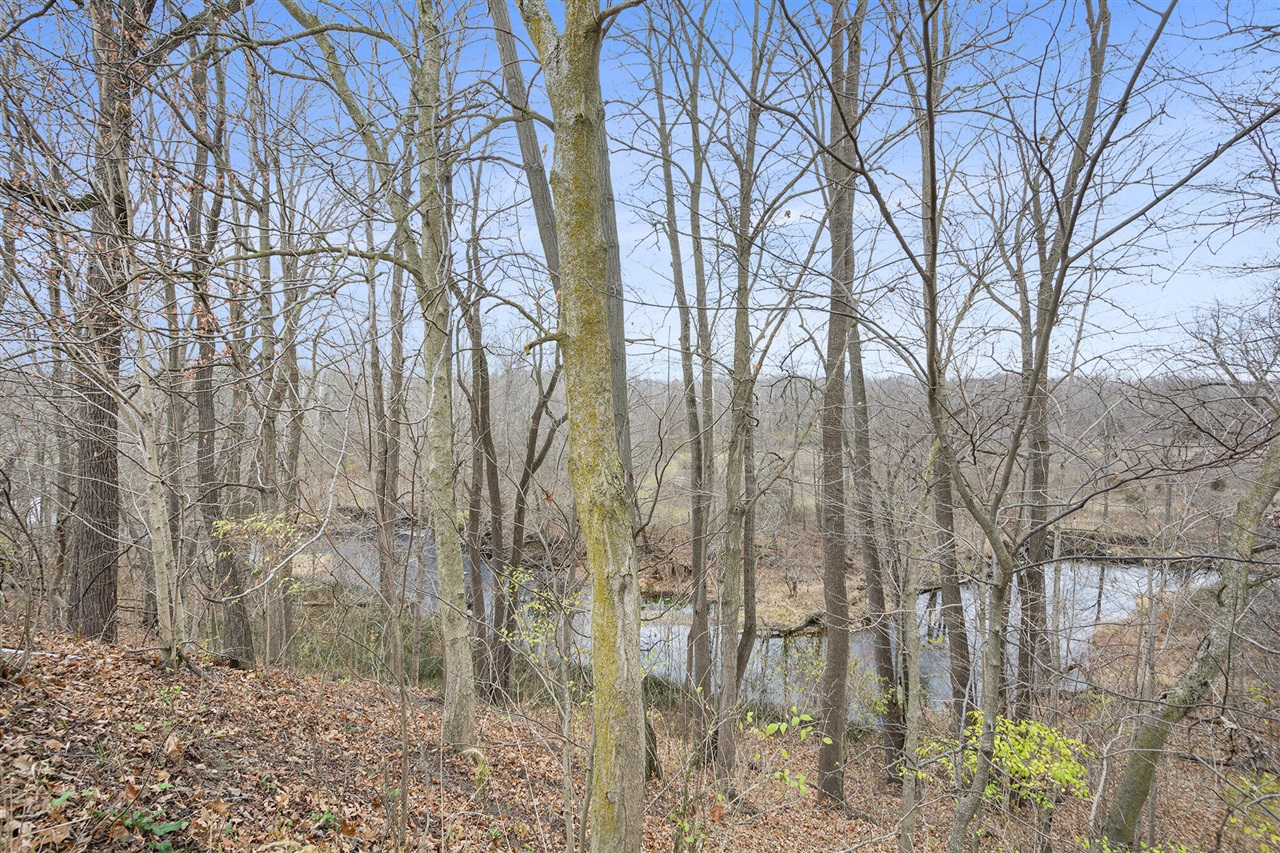 6840 South Meridian Road Addison, MI 49220 - Photo 35 of 38