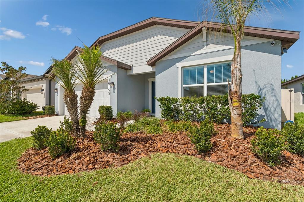 30155 Merilee Place Wesley Chapel, FL 33545 - Photo 1 of 1 a front view of a house with a yard