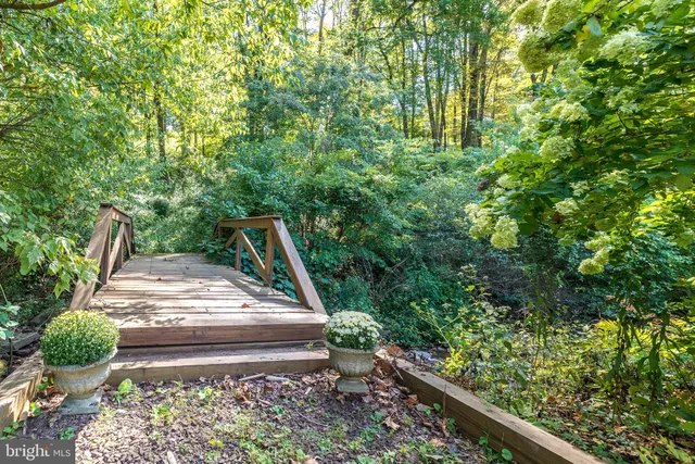 a view of yard with green space