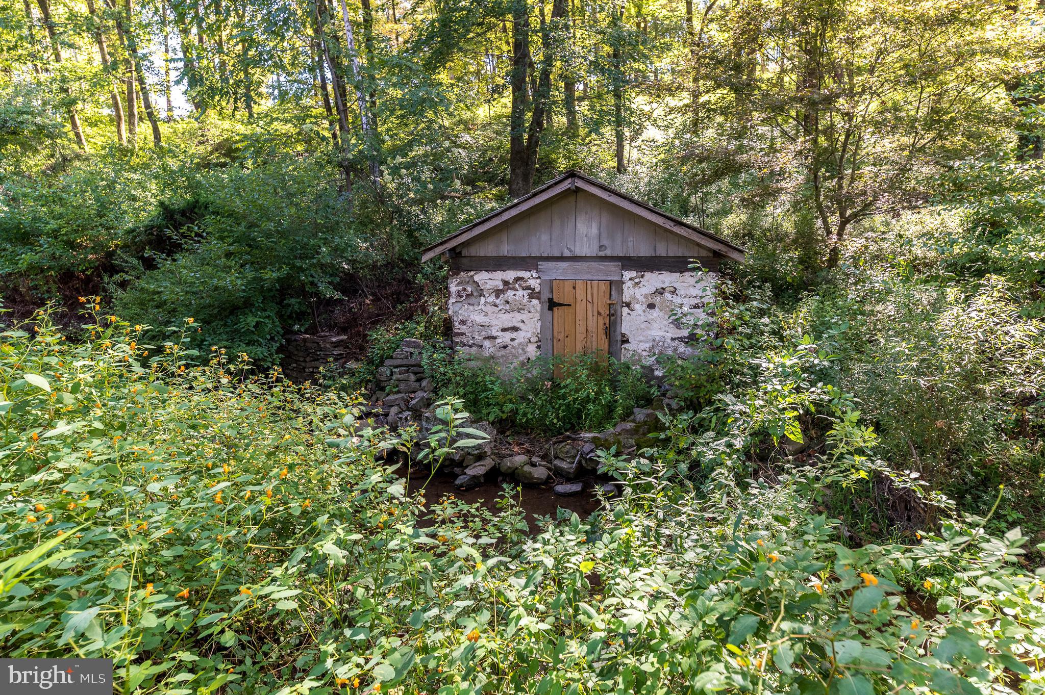 9022 Easton Road Ottsville, PA 18942 - Photo 36 of 45 a view of a house with a yard