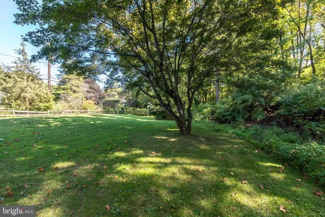a view of a trees with a yard