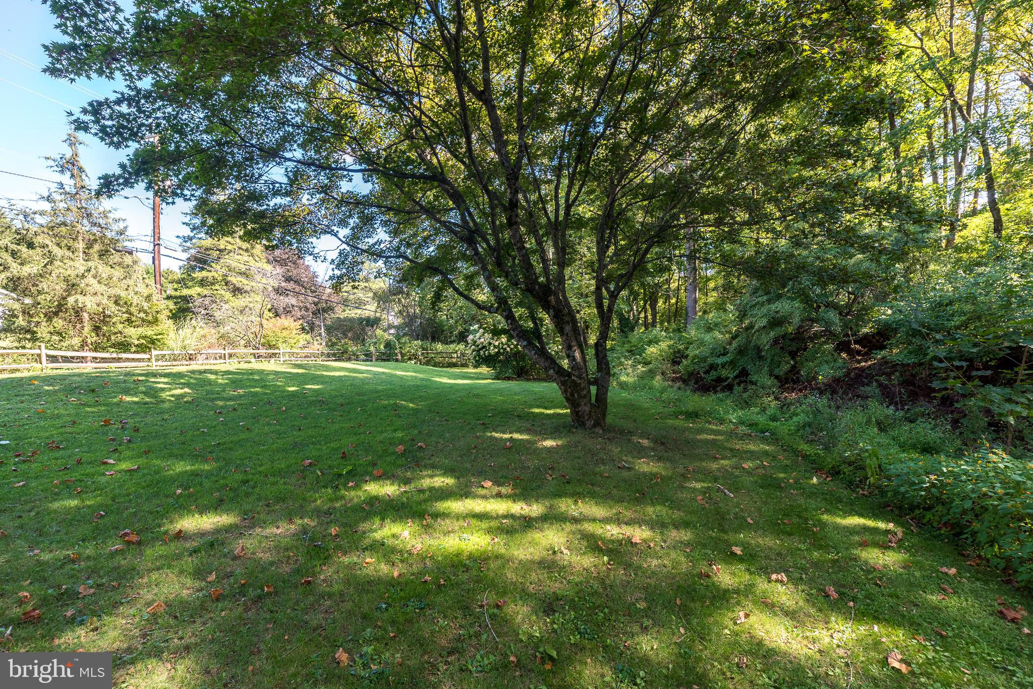 9022 Easton Road Ottsville, PA 18942 - Photo 37 of 45 a view of a trees with a yard