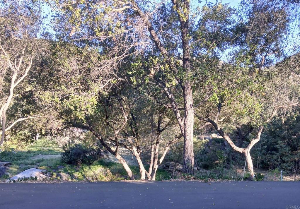 4747 Oak Crest Road, Unit 87 Fallbrook, CA 92028 - Photo 35 of 40