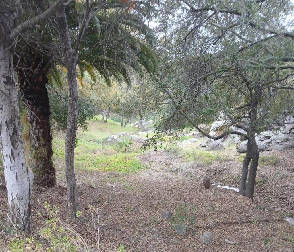 4747 Oak Crest Road, Unit 87 Fallbrook, CA 92028 - Photo 36 of 40