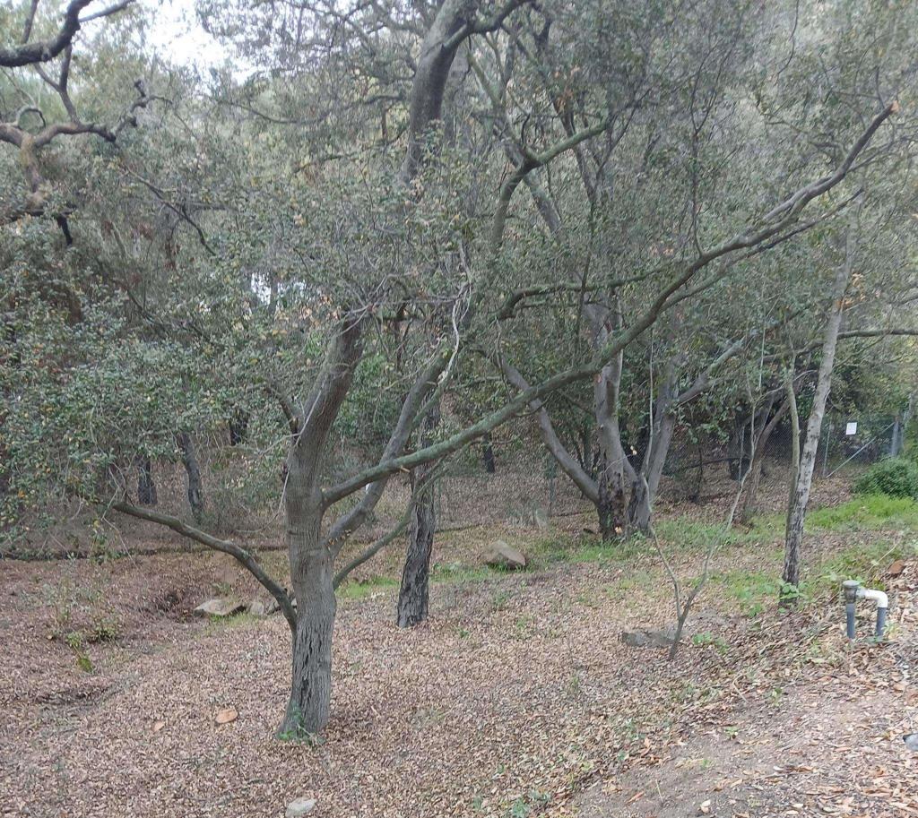 4747 Oak Crest Road, Unit 87 Fallbrook, CA 92028 - Photo 37 of 40