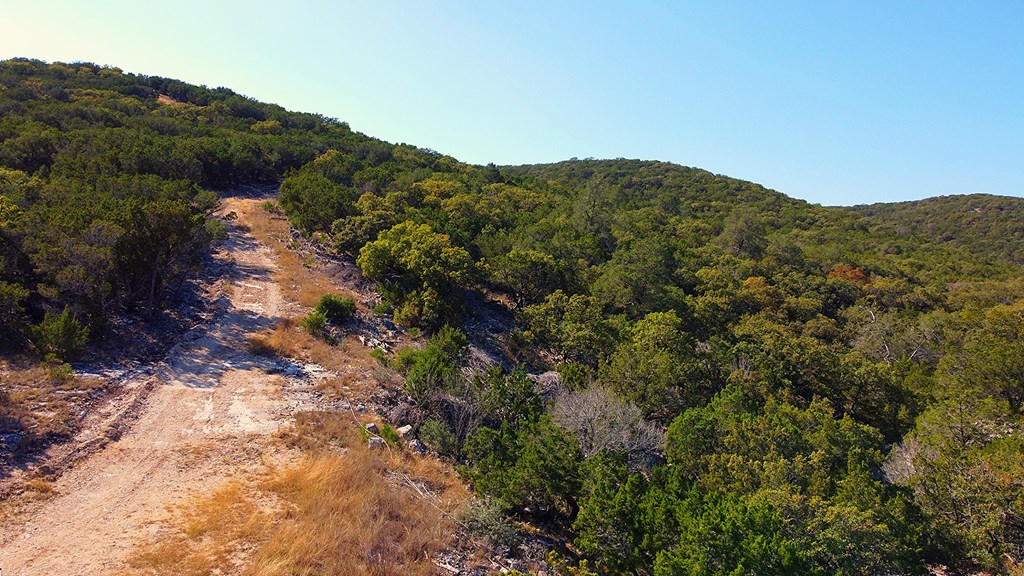 Tbd Tbd Other Leakey, TX 78873 - Photo 43 of 59