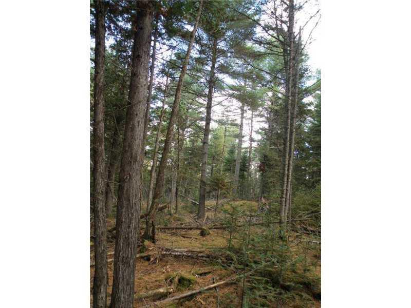 0 Cook Road Carmel, ME 04419 - Photo 3 of 3 Land/Lot.