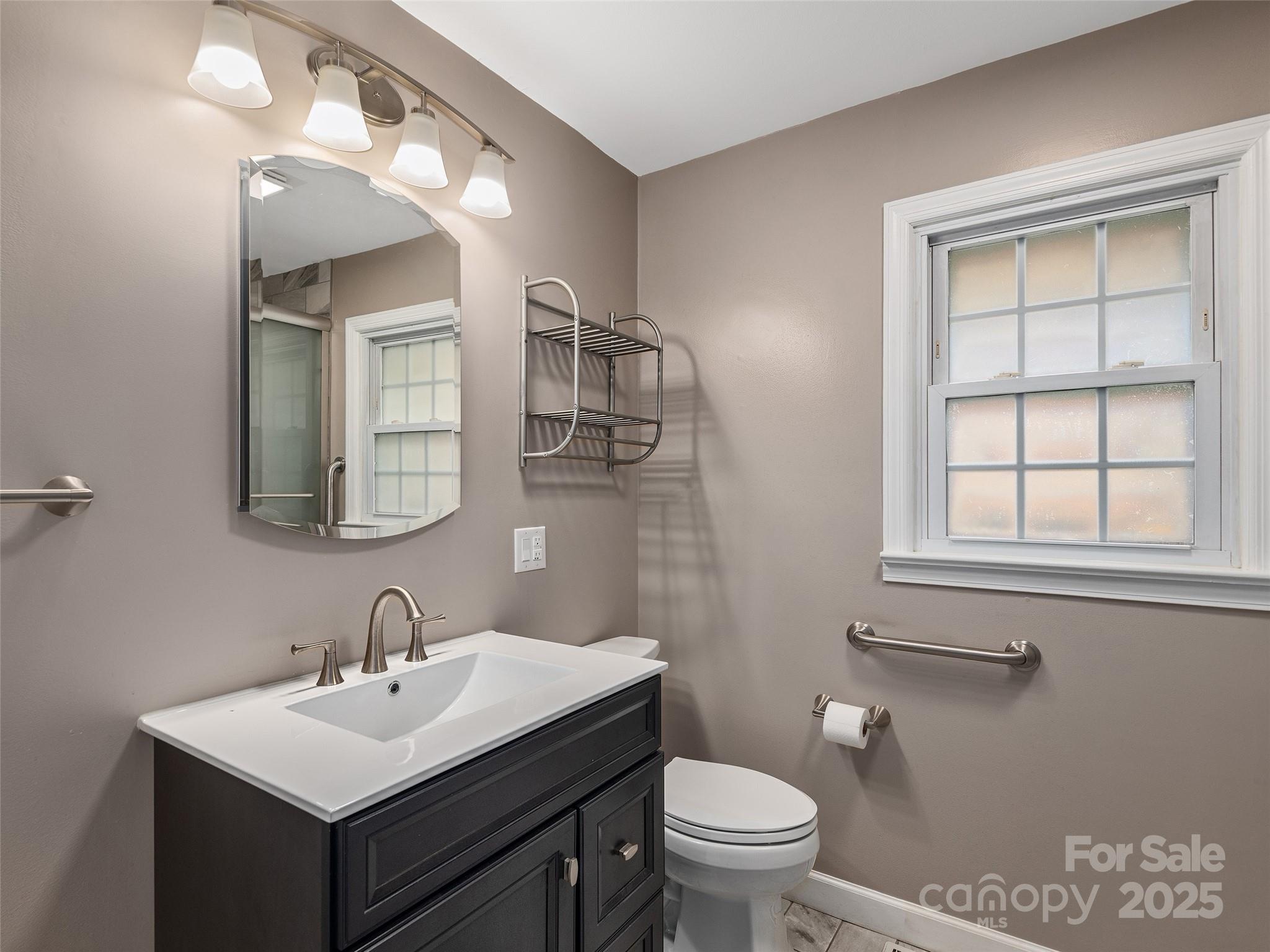 1005 Hutch Mountain Road Fletcher, NC 28732 - Photo 10 of 20 a bathroom with a toilet sink and mirror
