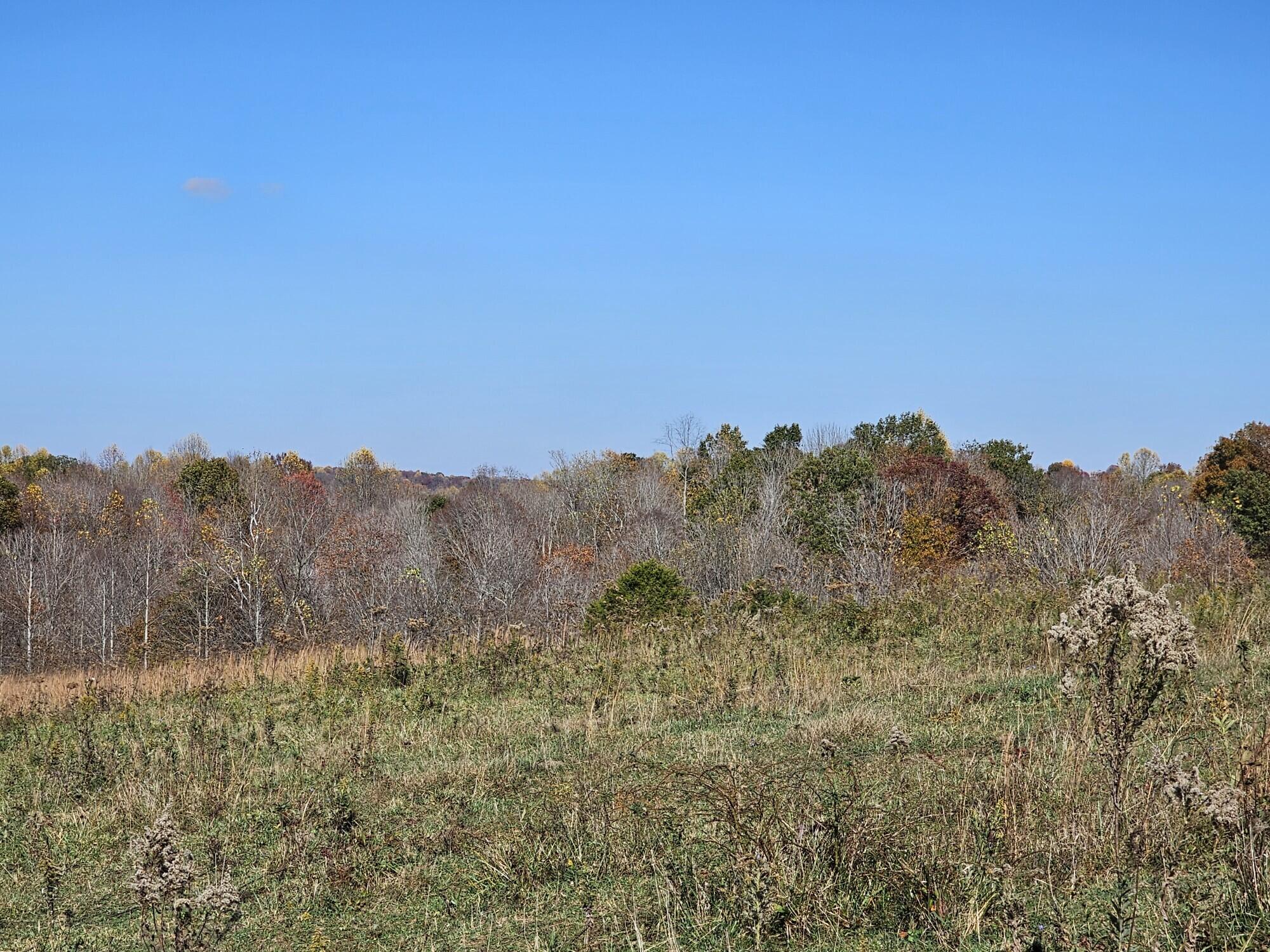 1659 Chicken Gizzard Road Liberty, KY 42539 - Photo 5 of 19 20231031_140113_copy_2000x1500