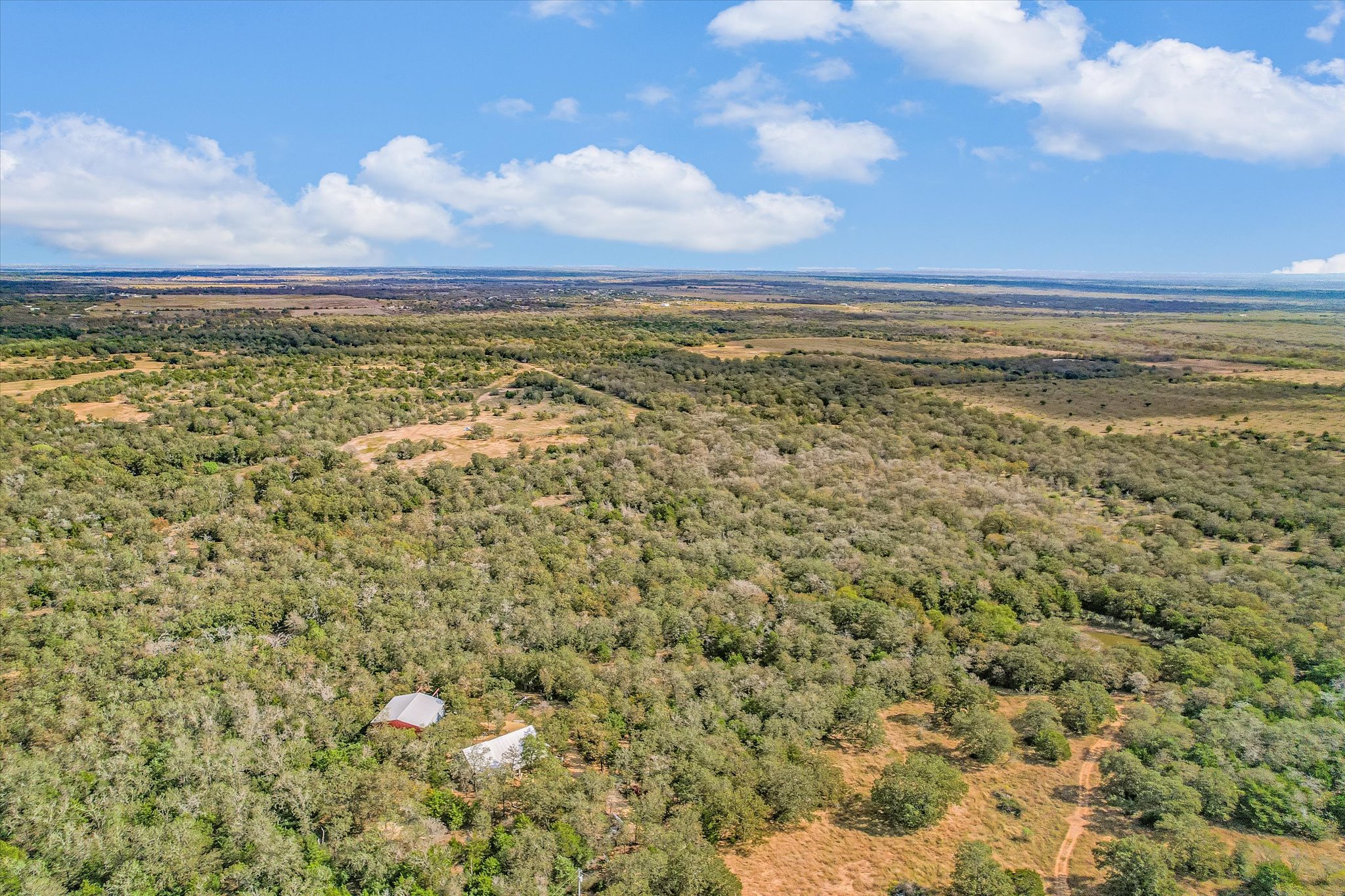 Tbd Porter Lane Lockhart, TX 78644 - Photo 7 of 10 Bird's eye view of a forest