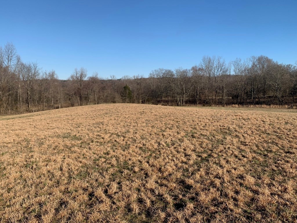 1695 Bell Harrison Road Evensville, TN 37332 - Photo 2 of 13 Gallery Image 2