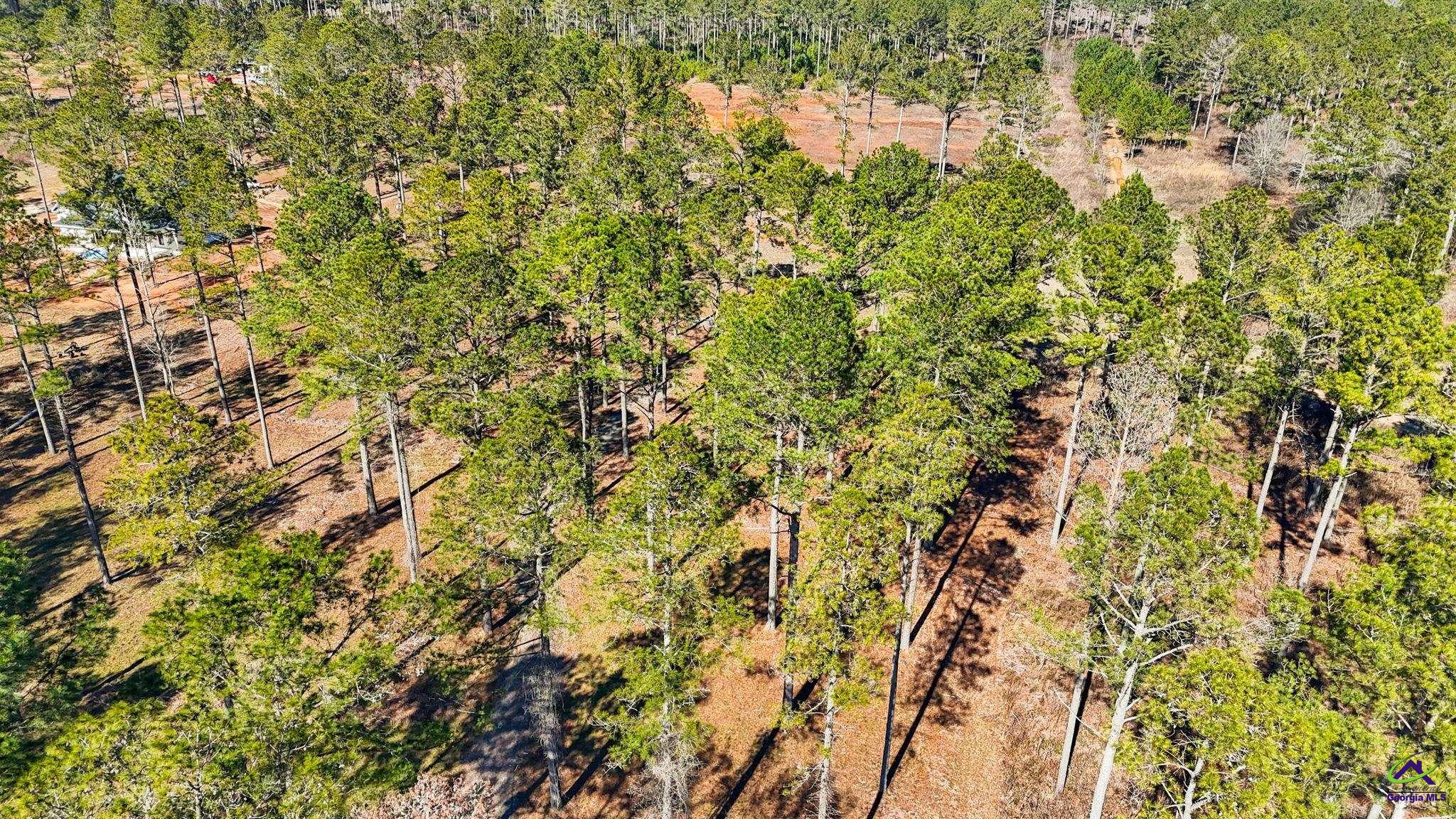 10 Duke Road Perry, GA 31069 - Photo 10 of 13