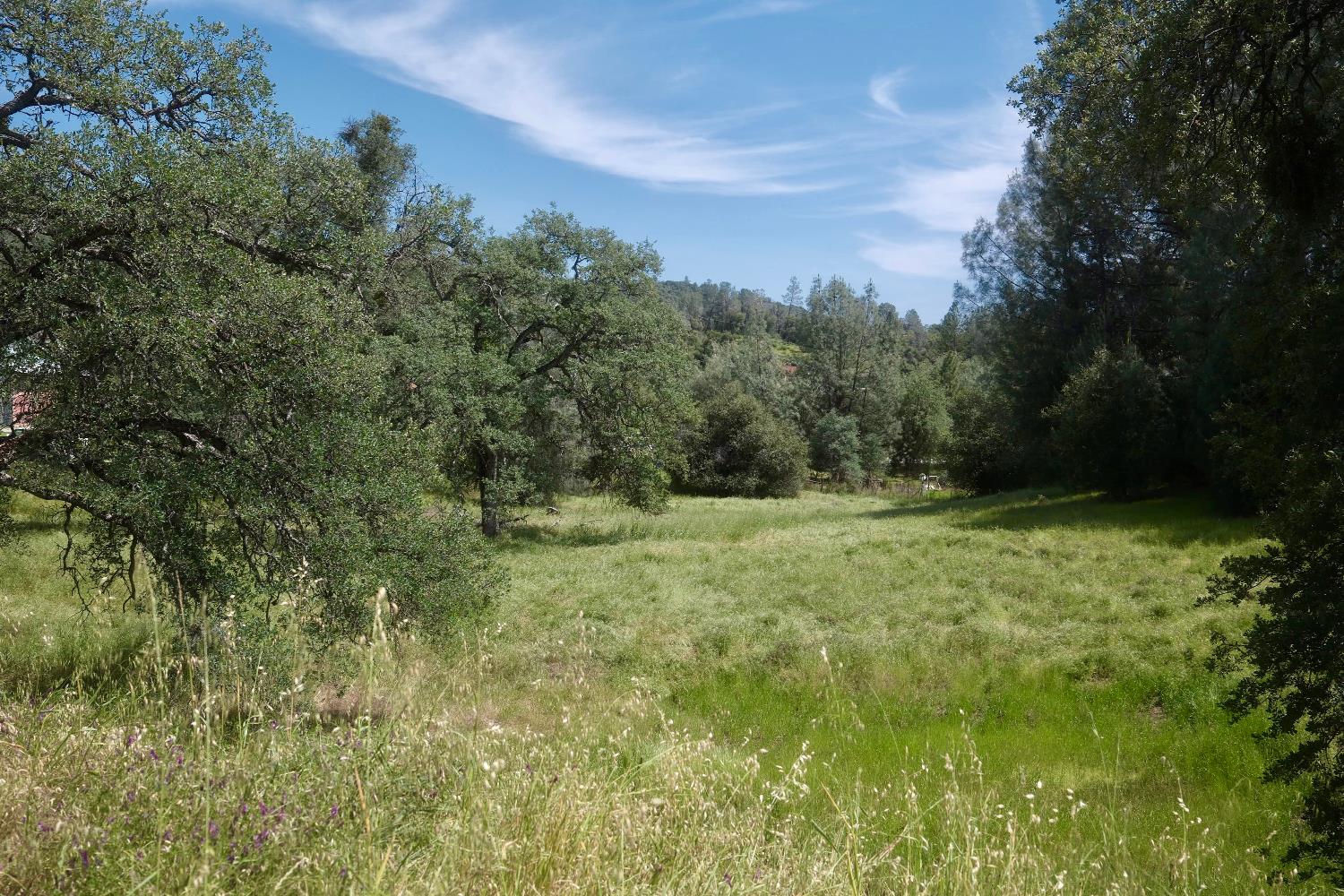 4069 Parrotts Ferry Road Vallecito, CA 95251 - Photo 23 of 32 Gallery Image 23