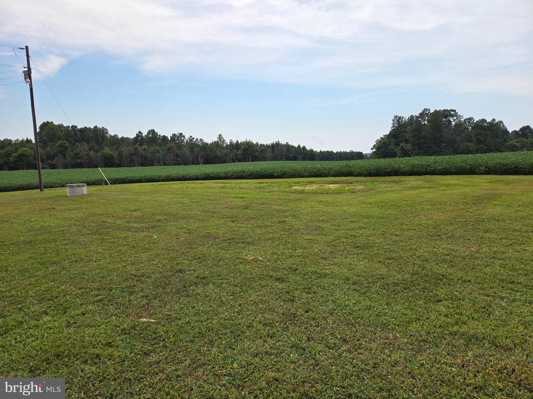 23432 Fork Bridge Road Milford, VA 22514 - Photo 4 of 11 Rear Yard