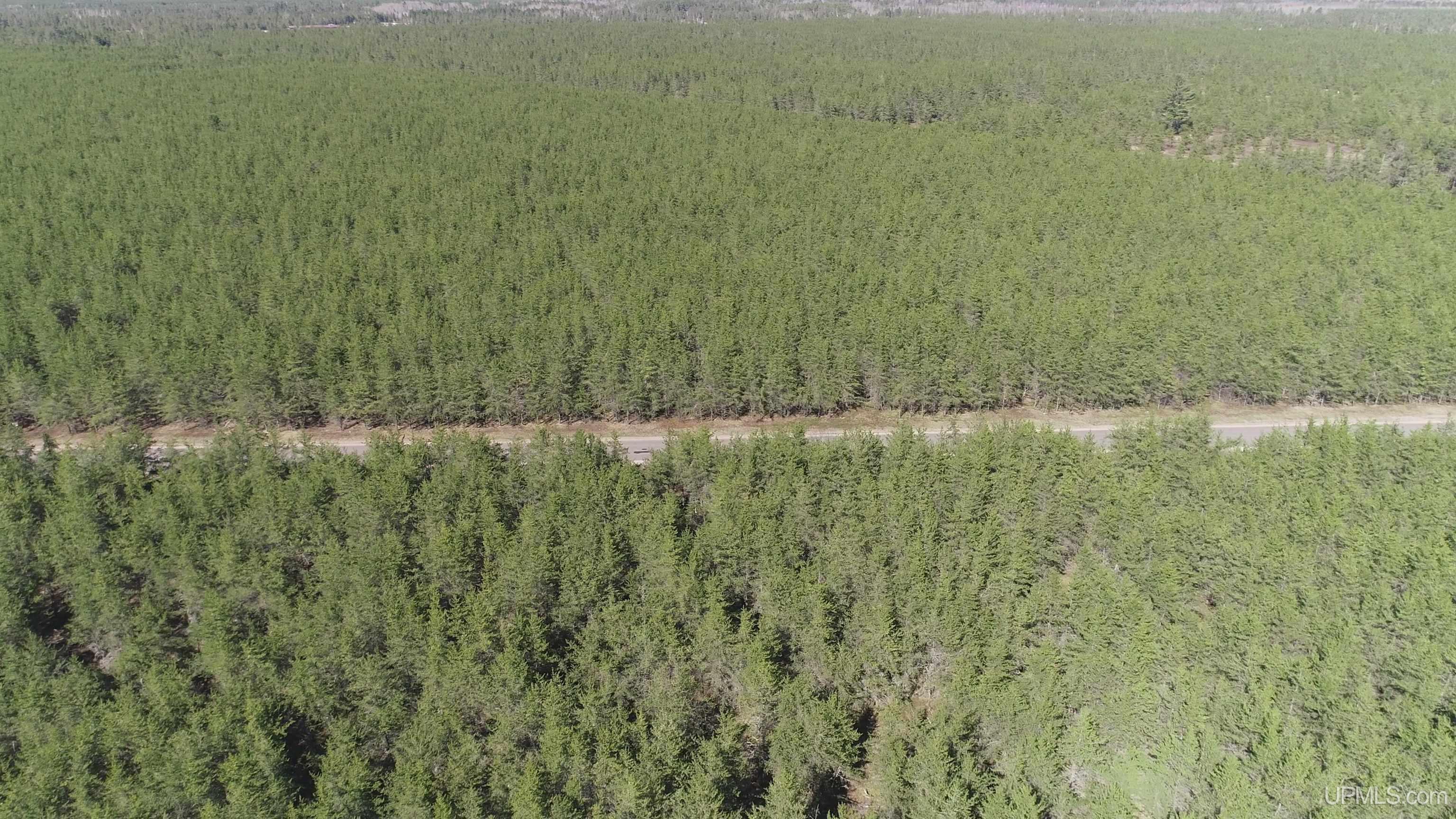 2 Rice Lake Road Gwinn, MI 49841 - Photo 14 of 24