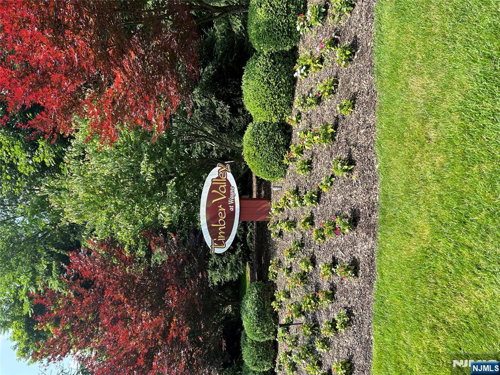 220 Butternut Drive Wayne, NJ 07470 - Photo 24 of 24 a swimming pool with a yard and plants