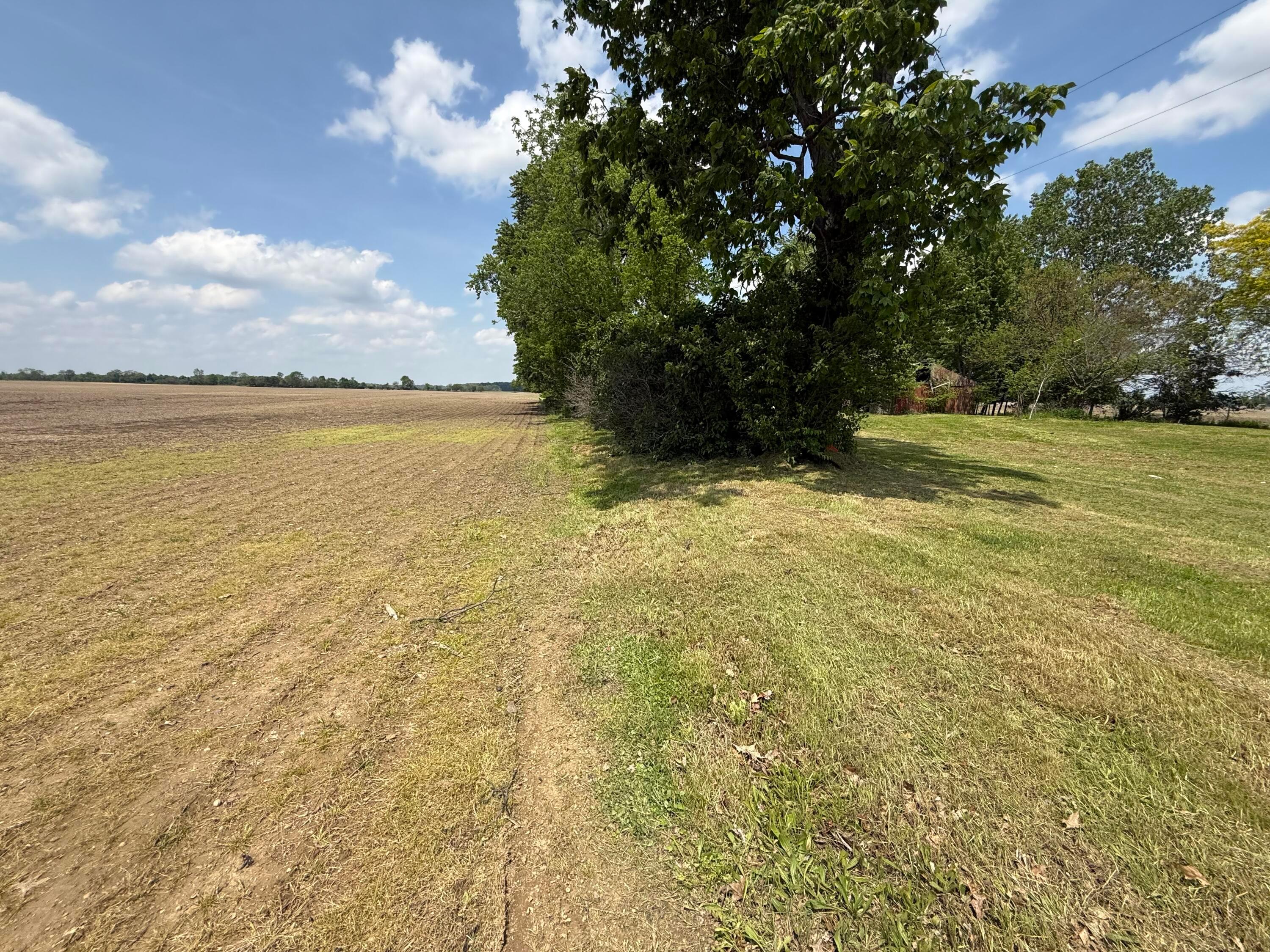 2769 Shoemaker Road Delaware, OH 43015 - Photo 9 of 14 2769 Shoemaker Rd