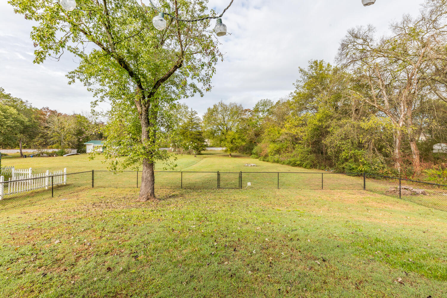 1501 Lee Street Chickamauga, GA 30707 - Photo 25 of 29 1501 Lee St HD-14