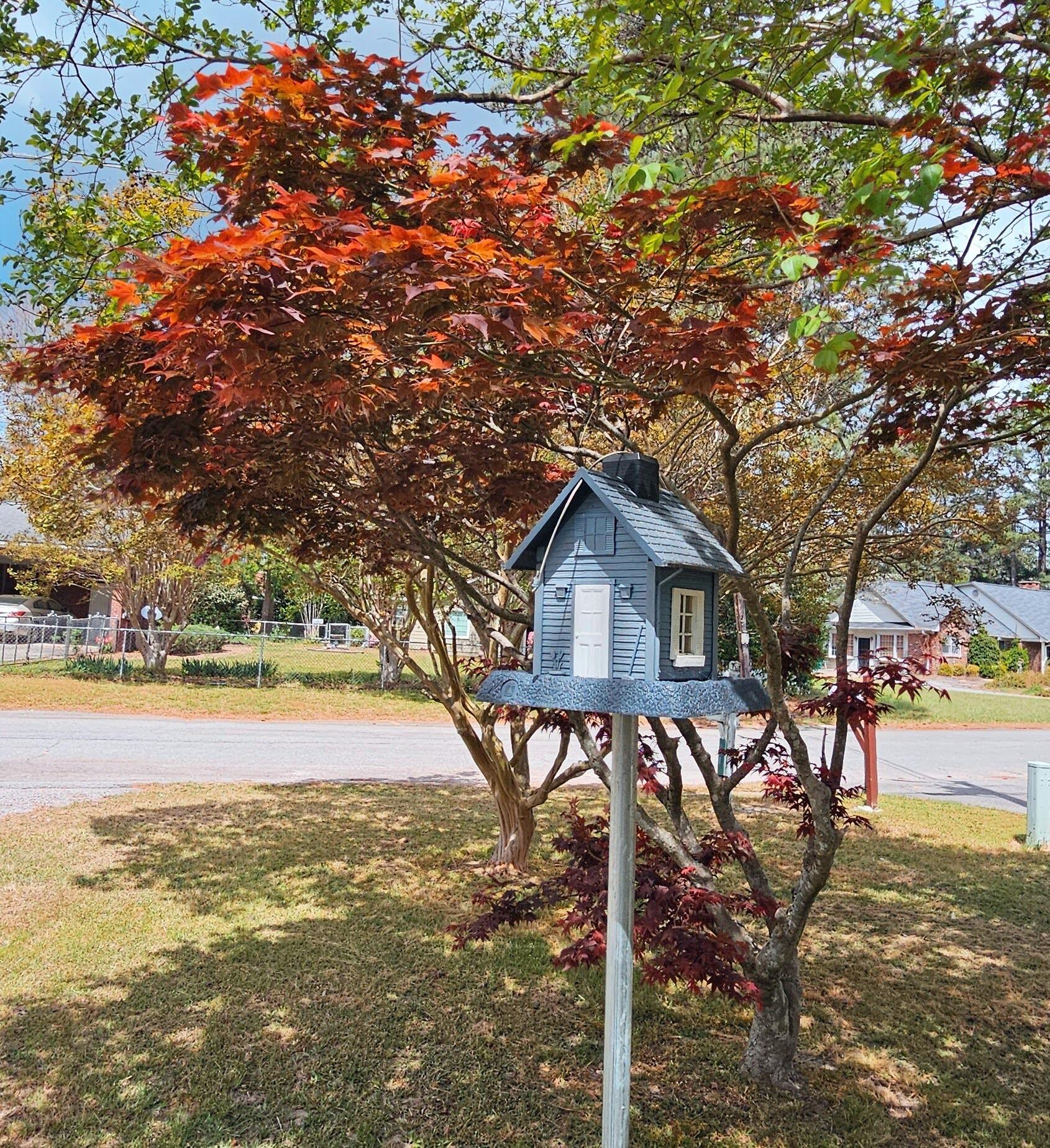 416 Briarcliff Street Manning, SC 29102 - Photo 12 of 50
