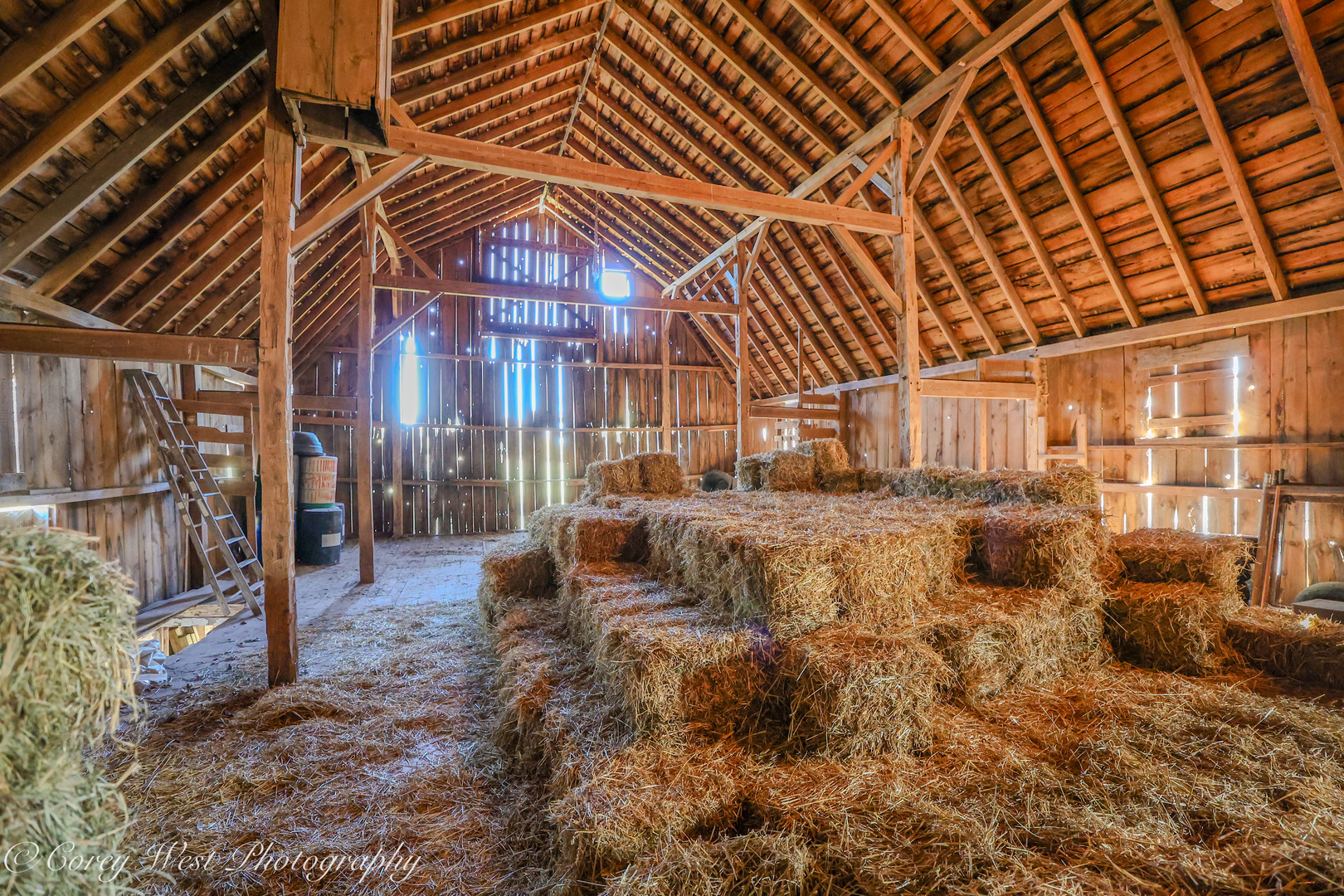 11N315 McGough Road Hampshire, IL 60140 - Photo 31 of 49 a view of yard with large tree