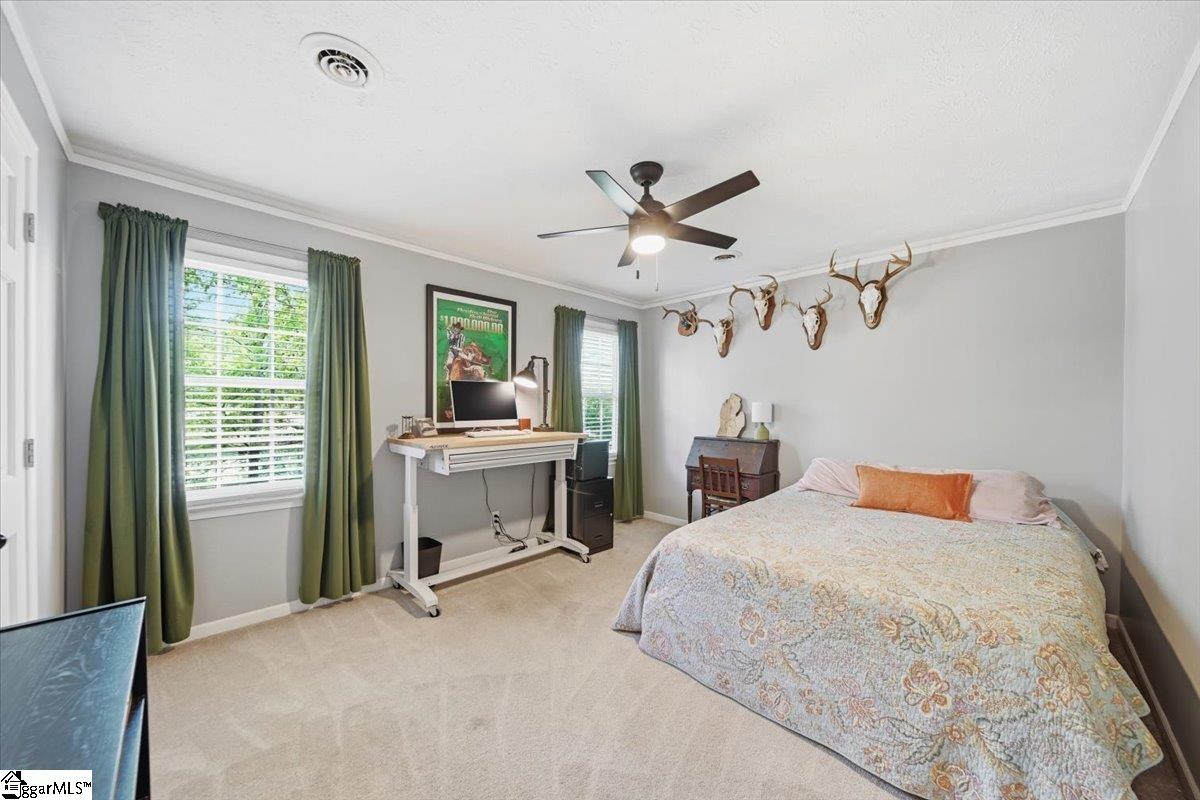 14 Pine View Terrace Taylors, SC 29687 - Photo 23 of 35