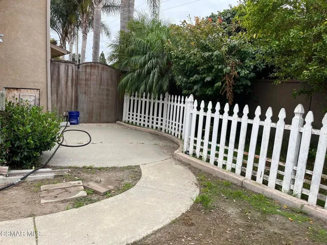 a view of backyard with a potted plant