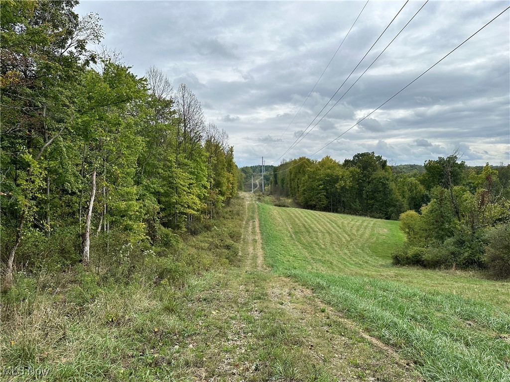3275 Highland Ridge Road Lowell, OH 45744 - Photo 7 of 10 View of undeveloped land