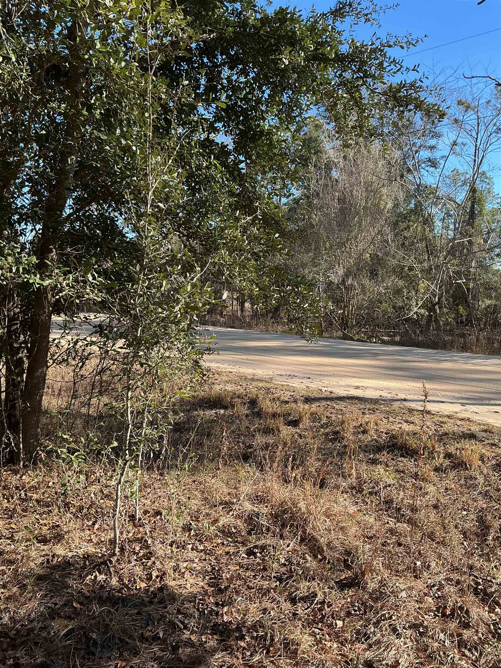 Tbd Northeast Blue Ridge Landing Avenue Lee, FL 32059 - Photo 6 of 17