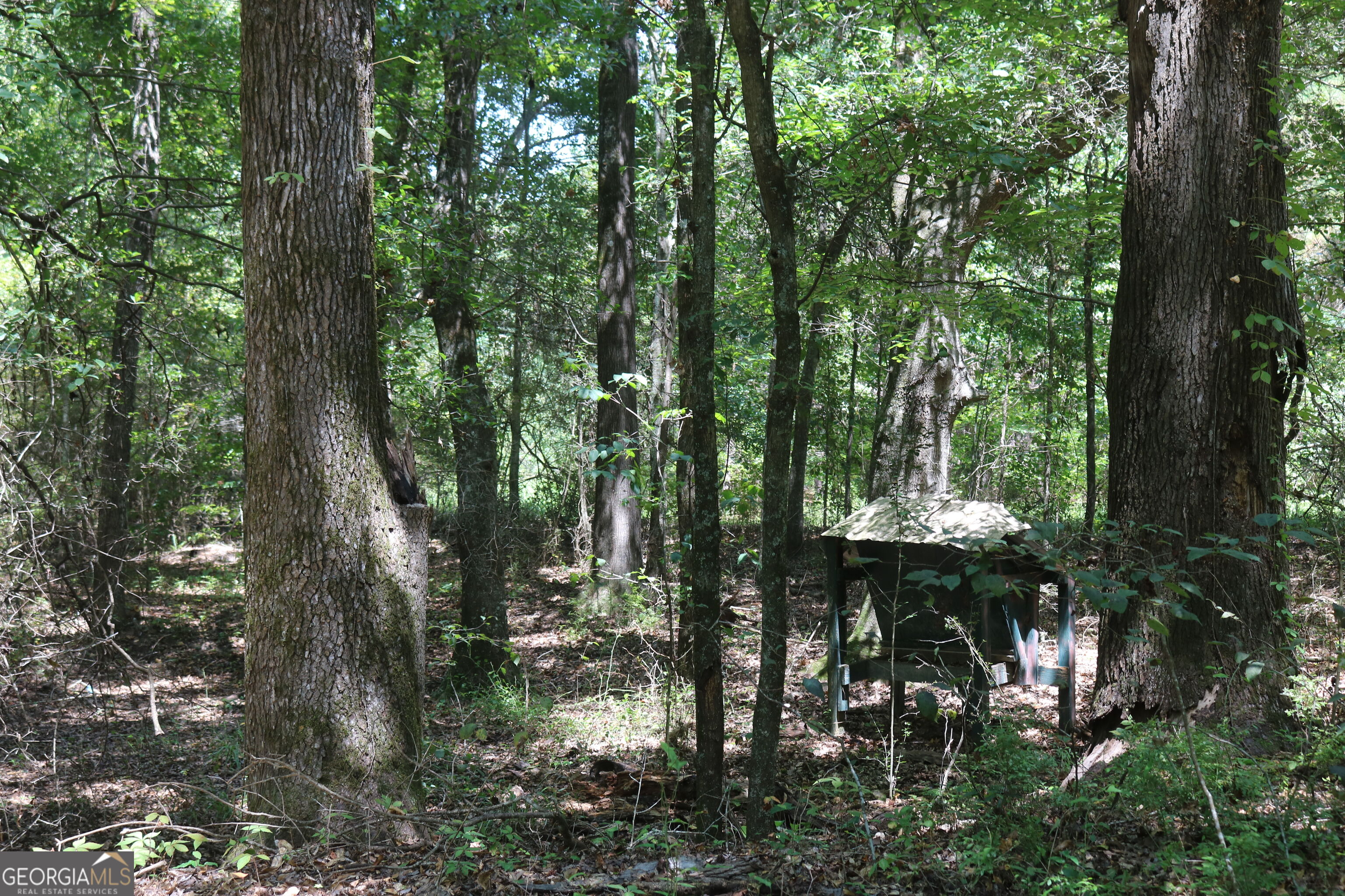 0 Barentine Road Rochelle, GA 31079 - Photo 27 of 38 Gallery Image 27