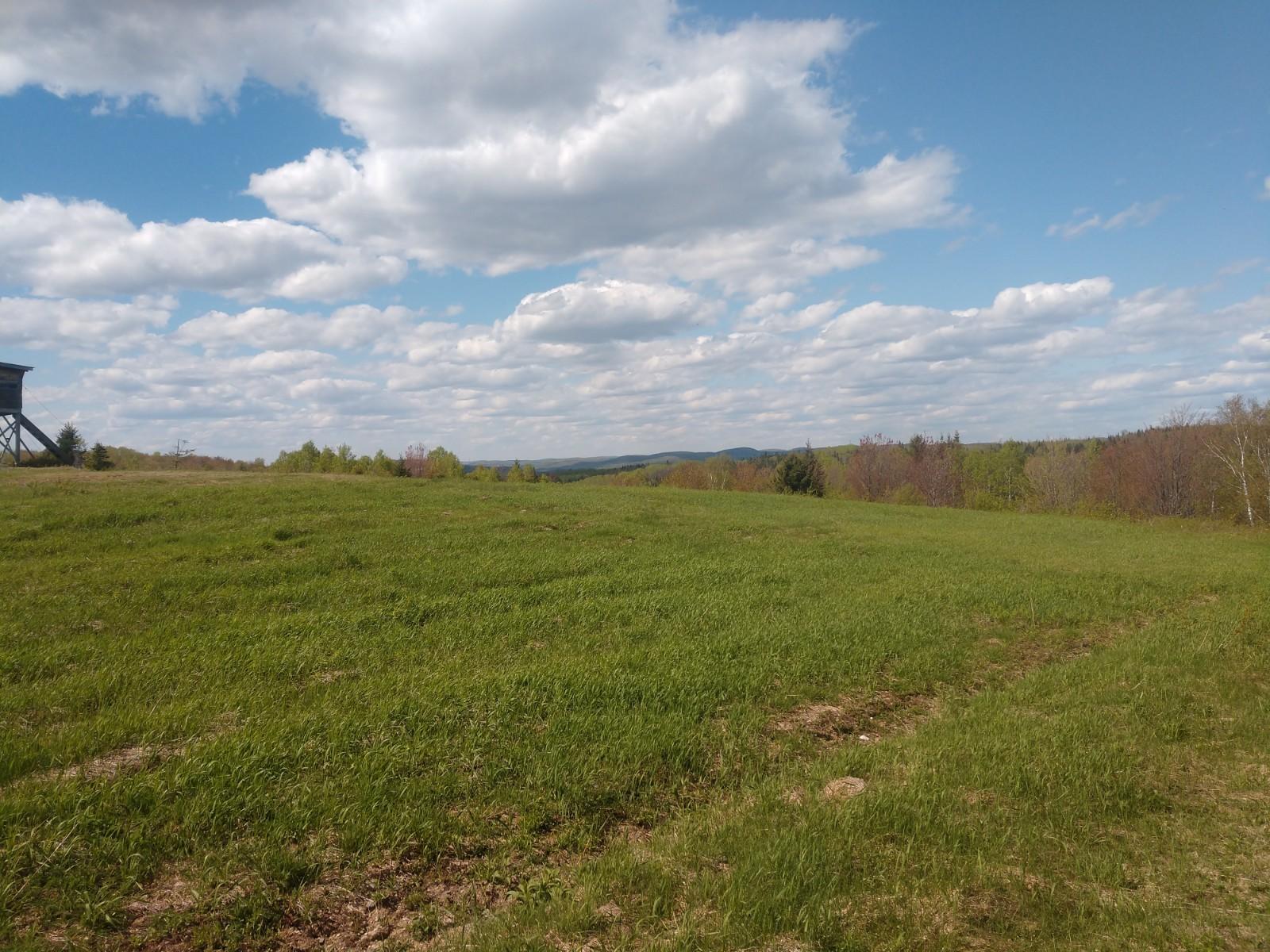 163 Dufour Road Madawaska, ME 04756 - Photo 2 of 19 IMG_20190601_150328452