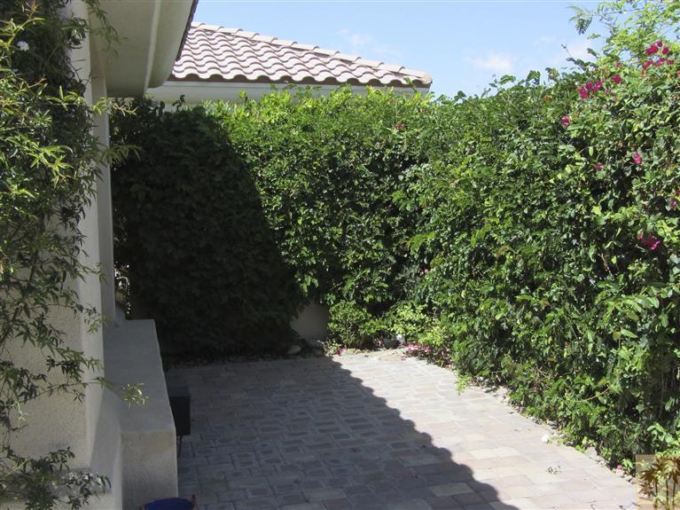 78591 Dancing Waters Road Palm Desert, CA 92211 - Photo 5 of 17 a view of a yard