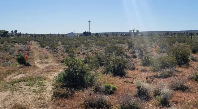 $39,950 | Pearblossom Highway East, Llano, CA 93544