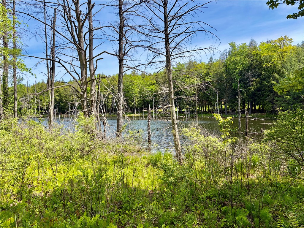 0 Maples Road Milford, NY 13807 - Photo 7 of 9
