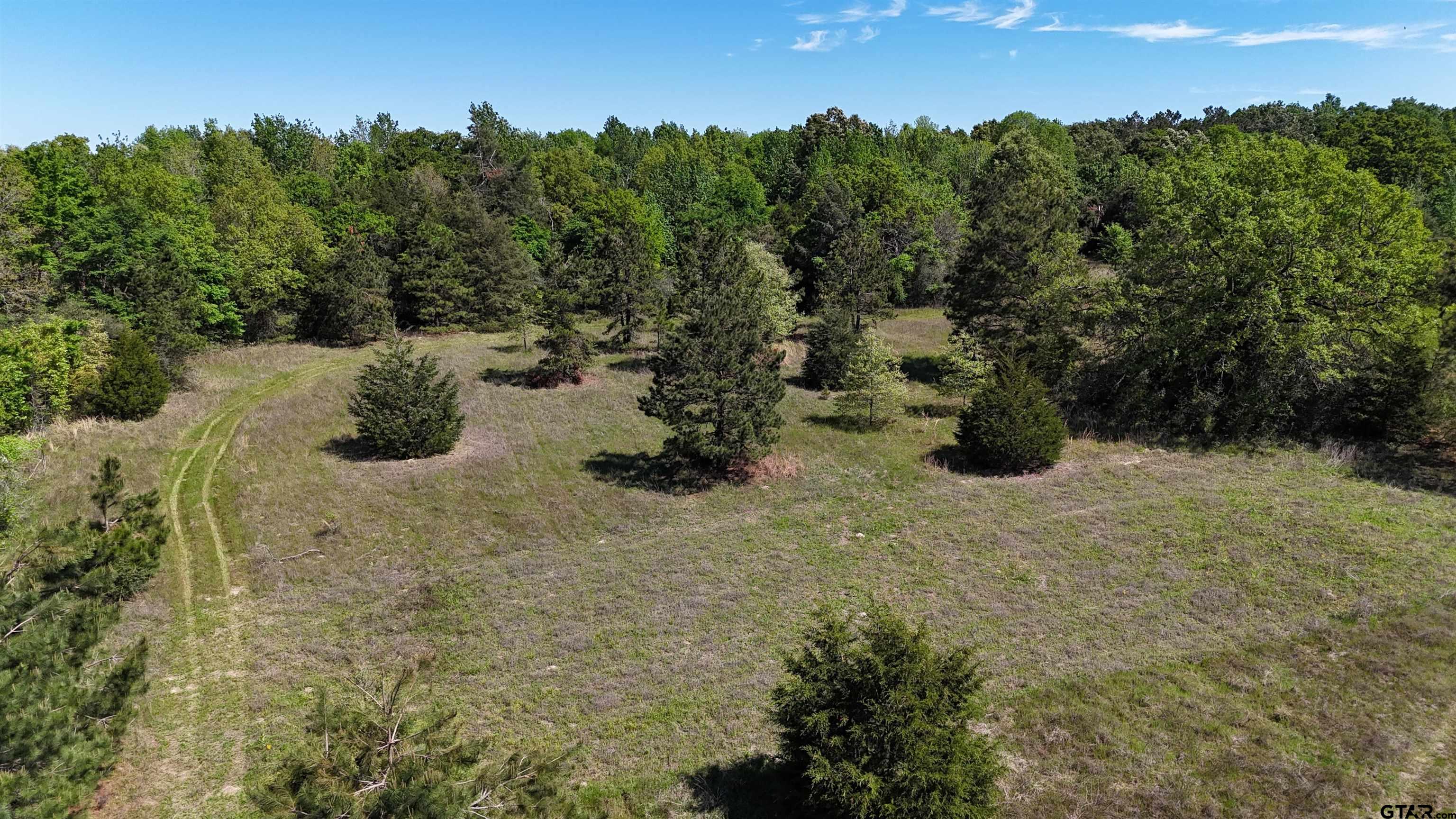a view of a covered with trees in the background