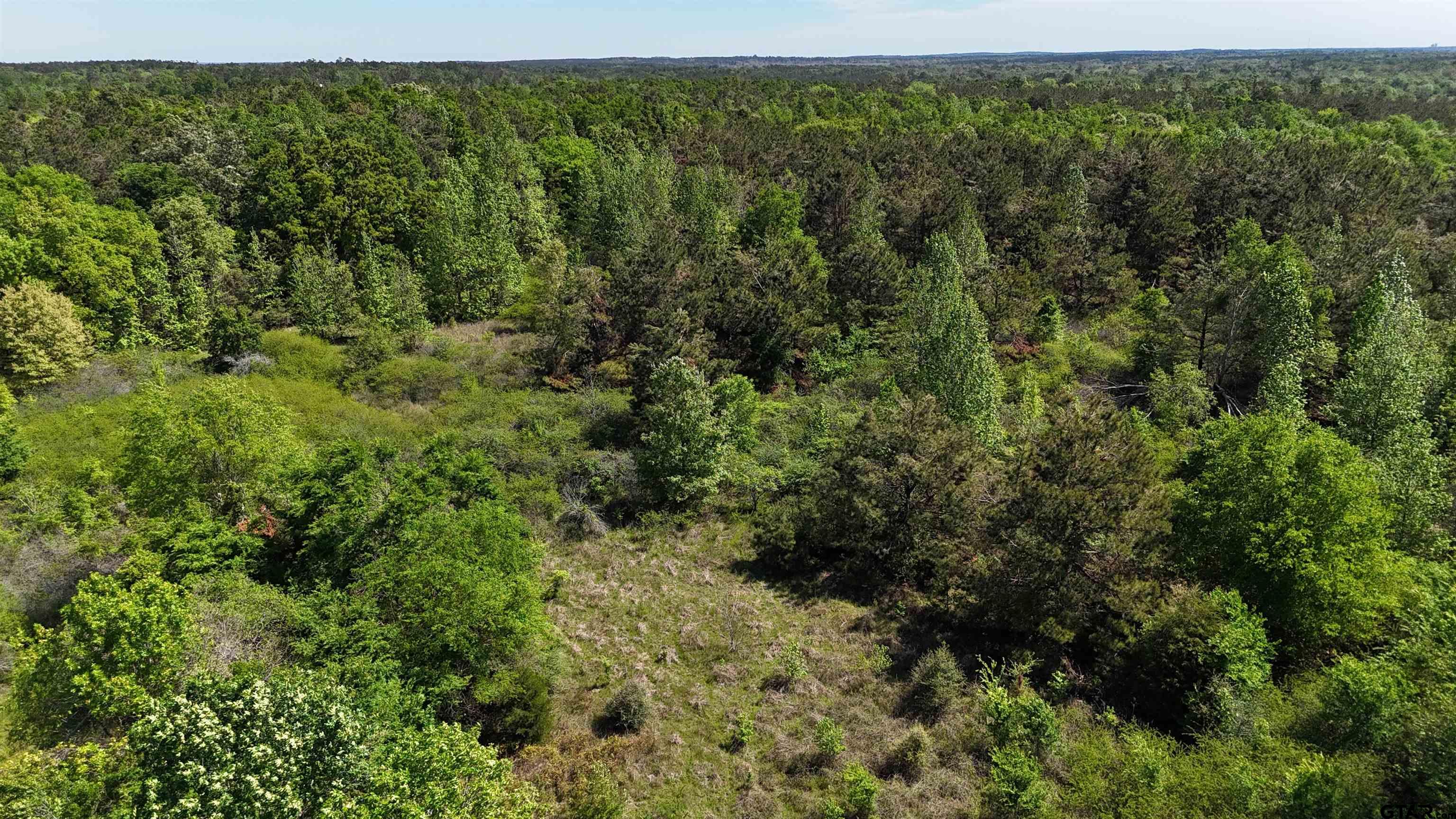 158 County Road 4891 Timpson, TX 75975 - Photo 11 of 23 a view of a lush green forest with trees and houses